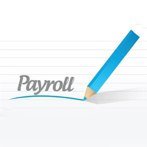 Payroll Service Provider in India